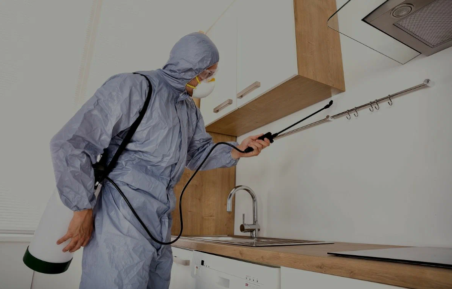 Redlands pest managment